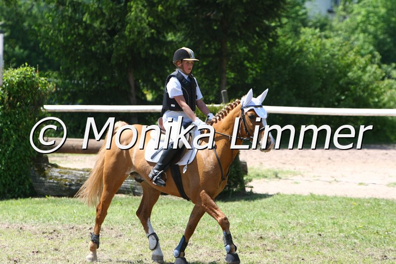 204M5771_Zarek_Spring RWB.JPG